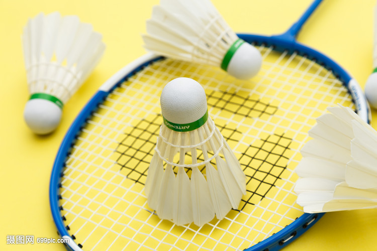 西蒙尼可能 西蒙尼可能